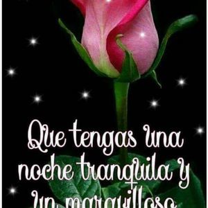 Meet your Posher, Isabel